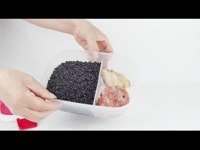 2 In 1 電熱式ランチボックス 車 家庭 携帯型 食品 容器