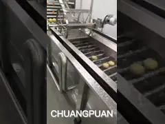 Скорость 2-9T/H Скорость наполнения Машина для переработки кокосового молока с настройкой video