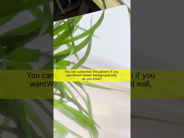 Экологически чистый интерьер Бамбук Уголь Зеркало Стенные панели ПВХ Зеркало Деревянный фанера видео