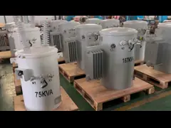 Single Phase Step Down Distribution Pole Mounted Transformer 167kva 35kv