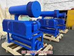 DN65 3 лобные корни воздуходушитель BK5003 для очистки воды, очистки сточных вод, аквакультуры и рыбоводства video