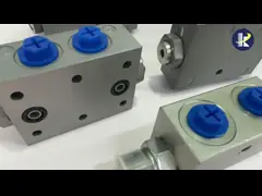 China Plug In Hydraulic Directional Valve Steel Single Way Cartridge Check Valve supplier