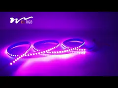 RGBIC Адресованный неоновый веревочный свет SMD5050 Клепистые светодиоды video