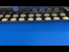 Industrial Automatic Cookie Forming Machine Capacity 100KG/H