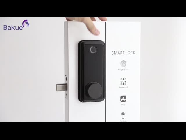 Ключевой бесплатный сенсорный экран RFID Deadbolt дверной замок замок с контроллером шлюза видео