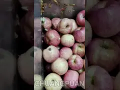 Промышленная линия производства яблочного сока video