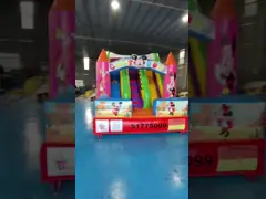 SGS Commercial Inflatable Water Slides Cartoon Themed Infant Bounce House Blow Up Jump House