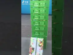 Прочные коробки из овощей, предназначенные для оптимального хранения и транспортировки video