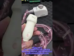 Gefaseerd ultrasoon - Sonde p4-2 Siemens ACUSON X300 van de serieomvormer