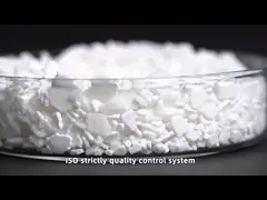 COA de fonte MSDS de Calcium Chloride Dihydrate d'agent de neige a délivré un certificat