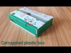 Reusable Vegetable Corrugated Boxes with Lockable Lid
