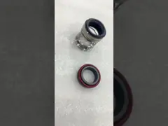 Двойная механическая уплотнение для горизонтального центробежного CNP насоса ZS-24 ZS-32 NG-32 / BSE4 / BSF4 video