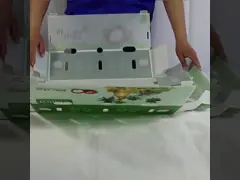 PP пластиковый ящик для хранения PP гофрированный пластиковый ящик для овощей, фруктов и сельского хозяйства video