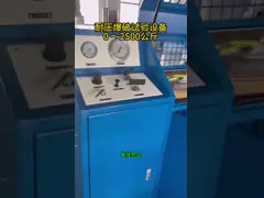 Машина для прессования стальных шлангов Машина для испытания давления шлангов Автоматическая работа video