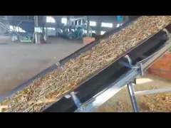 China 90-160kw Motor Biomass Pellet Processing Plant For Animal Feed supplier