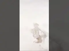 25мм Диаматер Крем для ухода за кожей банка Уникальные косметические банки video