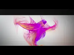 Factory Introduction