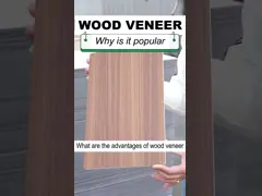 древесины угля 5mm панели изоляции внутренней стены PVC 8mm бамбуковой декоративные video