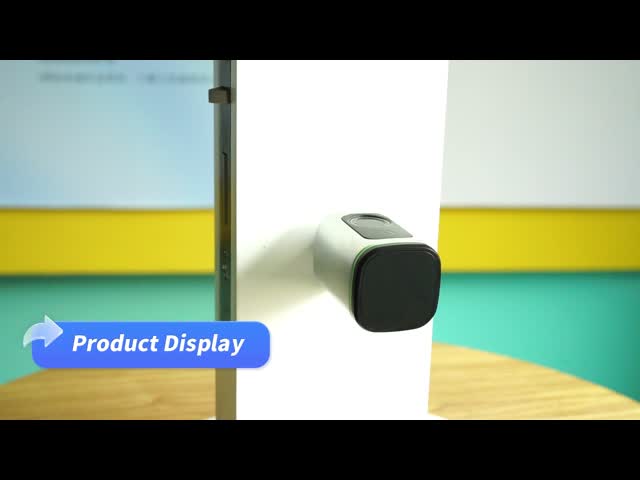 Tuya Ttlock Smart Cylinder Door Lock Biométrico Euro Standard Impressão digital do dedo Cartão inteligente Desbloqueio