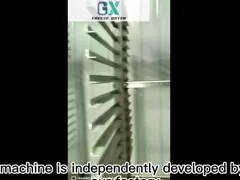 Μηχανή στεγνώσεως κατά ψύξη υπό κενό 1000 kg με τηλεχειρισμό PLC