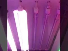 T8 Led Grow Light Tube Clone Light 14w 0.6m Длина водонепроницаемая цепочка Дэйзи микрозеленый овощный цветочный рассадник video