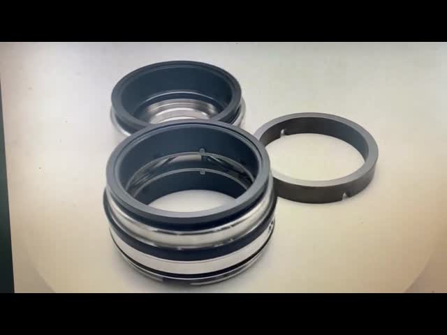GLRD FDS2 BCH-045 SIC-SIC-HNBR/C-TC-HNBR Mechanical Seal For Fristam Fds Double Screw Pump