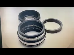 GLRD FDS2 BCH-045 SIC-SIC-HNBR/C-TC-HNBR Механическая уплотнение для Fristam Fds Двойной винтовой насос video