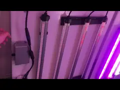 240 Вт светодиодный модуль растения для выращивания микрозеленых семян video