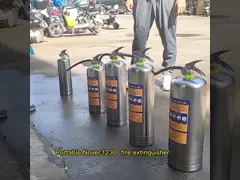 Мобильный пожарный огнетушитель для малых автомобилей 6 кг Газовое устройство пожаротушения video