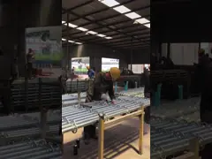 Galvanised Scaffolding Ringlock System Q235B Q345B For Construction