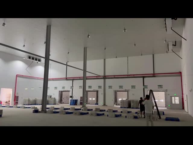 Customized Power Consumption Color Steel Freezer Cold Room With Danfoss Castel Emerson Refrigeration Parts