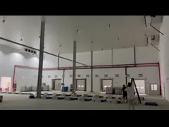 Customized Power Consumption Color Steel Freezer Cold Room With Danfoss Castel Emerson Refrigeration Parts