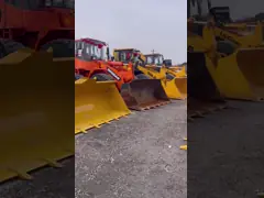 Стержневая экскаватор с ползучей экскаватором Sy215c Гидравлическая 20т экскаватор video