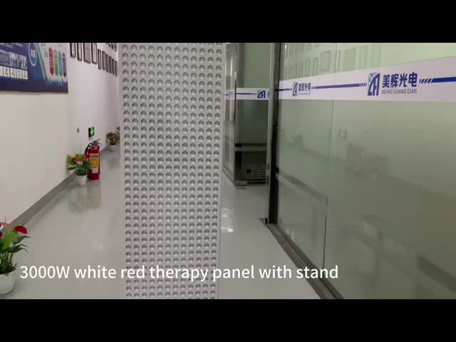 3000W Red Light Therapy Panel LED Full Body 660nm 850nm Timing Therapy Device