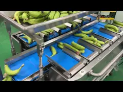 Заводская промышленность полуавтоматическая сетка сетка сумка взвешивание подсчет сетки резка упаковочная машина для банановых фруктов video