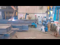Flexibility Q355b Steel Frame Warehouse Construction Fire Resistance