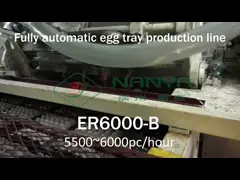 Плоский сушильщик производственной линии прессформы пульпы транспортера/суша линия video