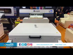 Тиражный принтер с пленкой для домашних животных A3 30 см Power Shaker Machine Double Xp600 Dtf Printer video