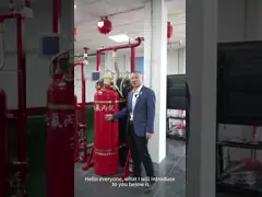 ≤10s Discharge Time FM200 Piston Flow System for Plywood Outer Box Bubble Bag Paper