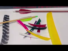 Оптовая продажа 2/3/4/5 Параболическая форма,плохой цвет Стрелка правого/левого крыла Природные перья video