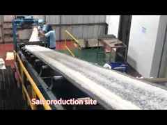 Предоставление услуг за рубежом для производства соли для приготовления столовой соли video