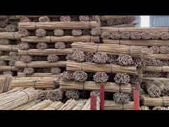 Factory Introduction Of Sunbelt Bamboo