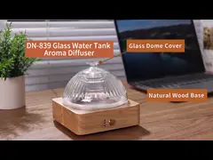Ароматический диффузер со стеклянным резервуаром для масла   DN-839 video