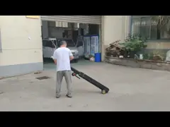 린치 업 마스트