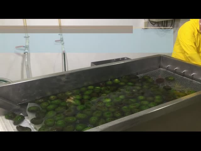 How To Processing HPP Or Cool Avocado Pulp ？Let