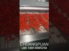 1 - 20 Т/ч Настраиваемая дата Производственная линия пальмового сока video