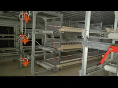 Prefab Steel Structure Breeder Chicken Houses Agricultural Livestock House