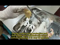 Iso13485 Стерилизованный хирургический одноразовый эндоскоп Линейный режущий сцепщик и режущая сборка Простая в использовании video