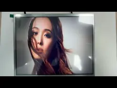 12.1 дюймовые TFT/Transmissive Industrial Flat Panel Displays для высокопроизводительных дисплеев