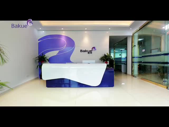 Bakue Chinese Supplier for buliding hardware and residence decoration  one step service